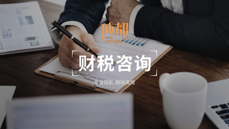 代理记账与个人做账：专业度背后的考量