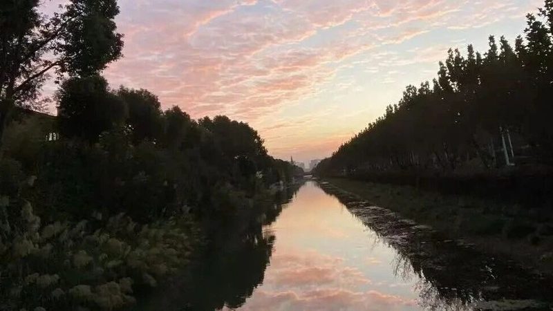 财税公司报价对比：揭秘价格背后的秘密